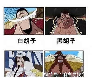 人面鸟|漫迷用同近义词和反义词理解《海贼王》,看完整个思路开阔了