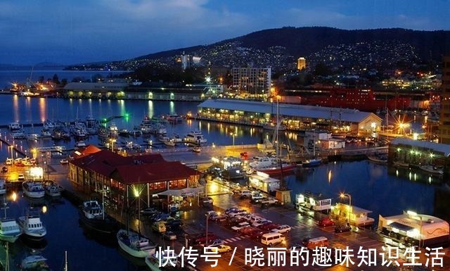 塔斯&丈夫被制成标本展览,她留下遗愿请善待我,不要展览我!