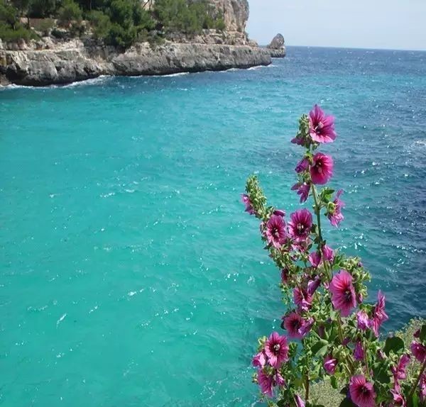 曾国藩诗10首:倚天照海花无数,流水高山心自知