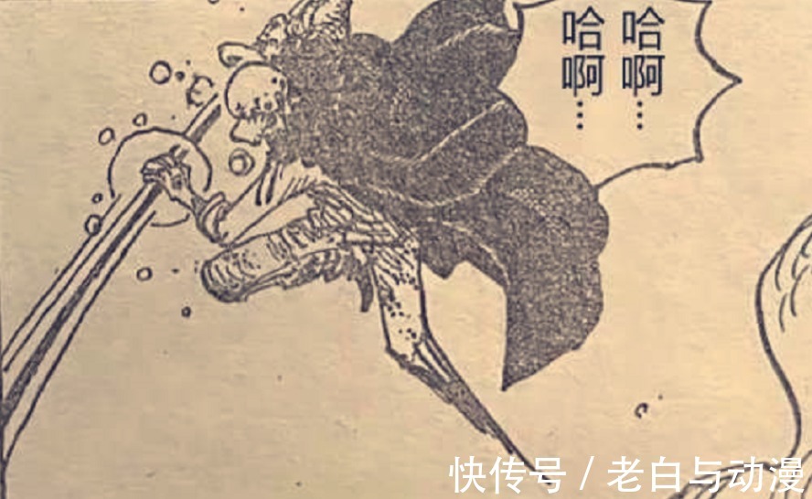 花之都|海贼王1040话情报:罗又使用新招式,能隔绝声音,大妈败北