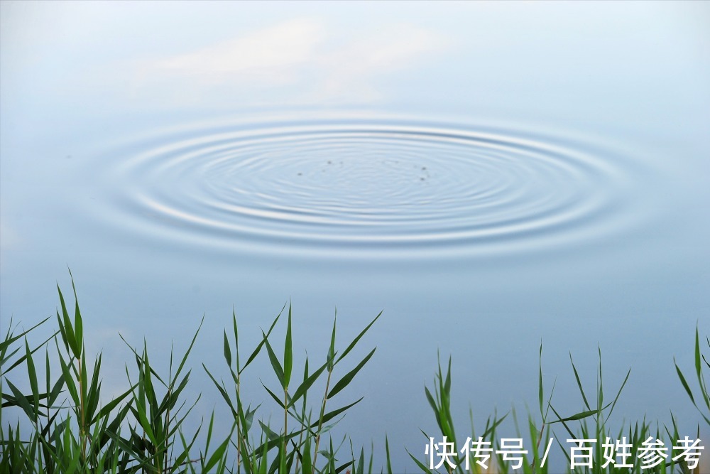 春季钓鲫鱼,什么钓位是首选?这6个钓位别错过,鱼获多多