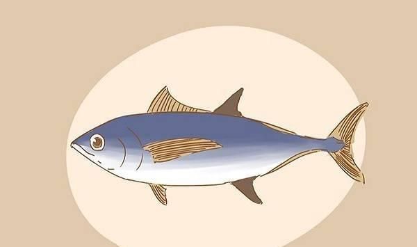 饮食|孕期饮食有讲究!怀孕后坚果在什么时候吃最好?!