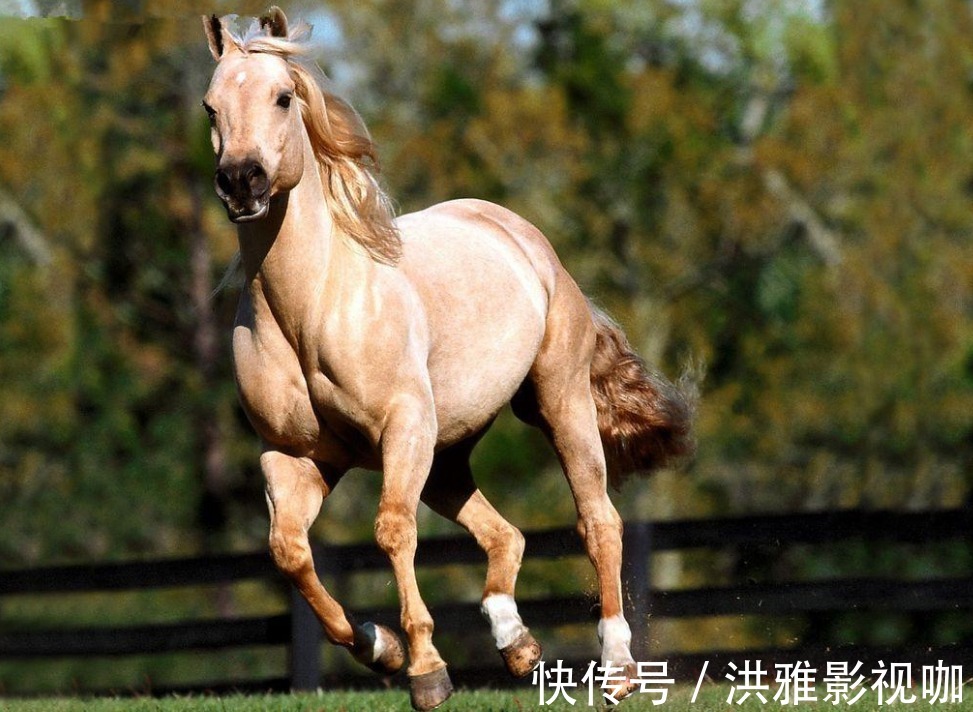 贵人|几大生肖下半年吉星高照，做事顺利贵人现身，财运旺