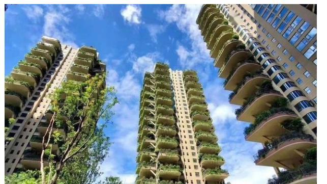 高层|第四代房要来了!家家有院子,车停门口,却不被看好为啥?