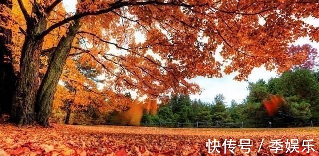 唐初四杰#天才诗人王勃的一首悲秋诗,短短二十字,古往今来引起无数共鸣