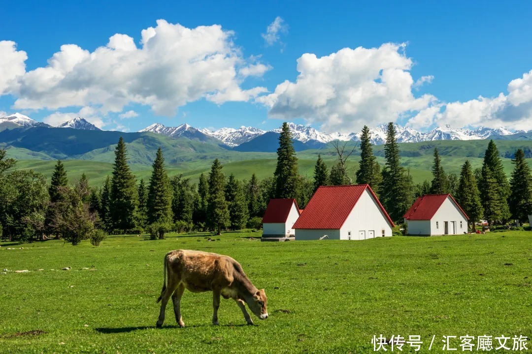 横跨崇山峻岭，穿越深山峡谷，独库公路“纵贯天山的景观大道”