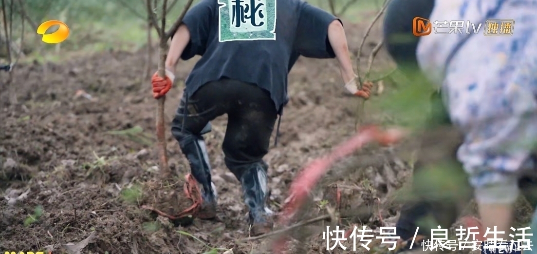 4季最懒客人齐聚《向往5》，黄磊张艺兴各有对策，不愧是狐狸师徒