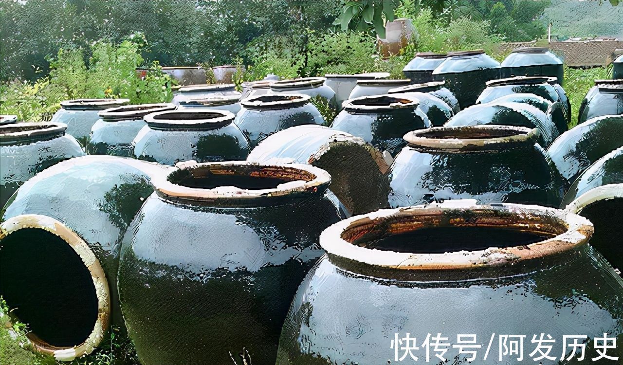 司马光$马未都:司马光根本没法砸缸,宋代烧不出大缸!不料被一成语打脸