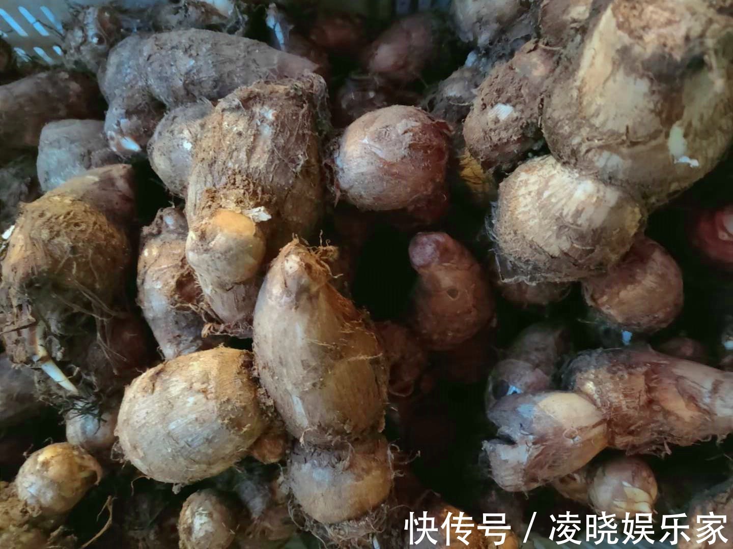 碱性食物|买芋头时，直接挑重的就错了，老菜农教你正确做法，一挑一个准！