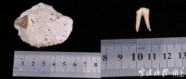 童欢吉|慈溪新发现一处4000多年前的史前遗址