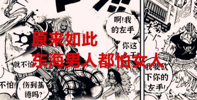 百兽海贼团|海贼王1029话:为何霍金斯不用女人当替身?网友:女生没有命根子