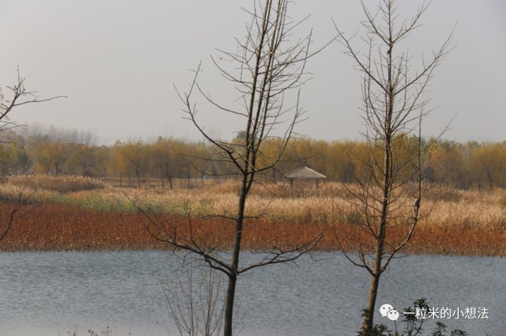 七里河|活水灵城，七里河香