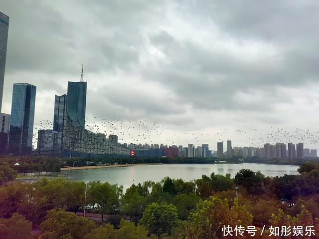 真正厉害的人,都深谙示弱之道,善于以柔克刚