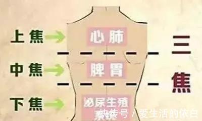 疑难杂症|搞懂了人体的“三焦”,所有疑难杂症,都可迎刃而解,建议收藏!