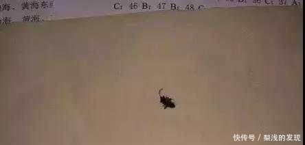 差异|南北方人的差异:从买菜这看得一清二楚,感谢菜场老板的不削之恩