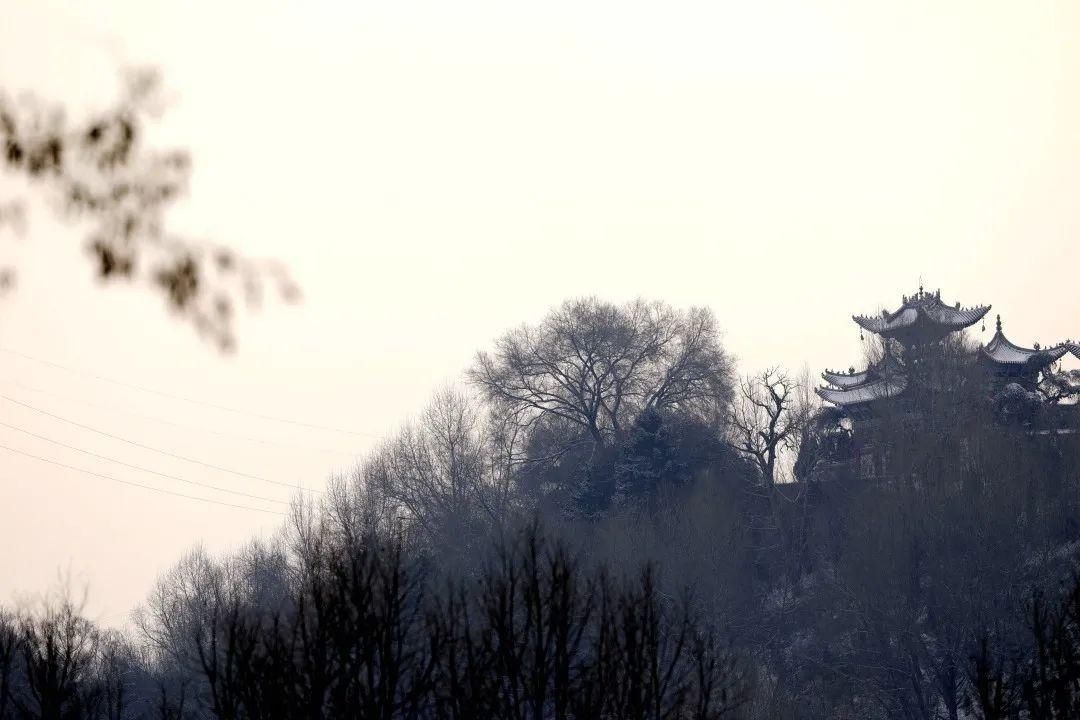 深冬|在洮河湿地公园，来一场深冬邂逅！