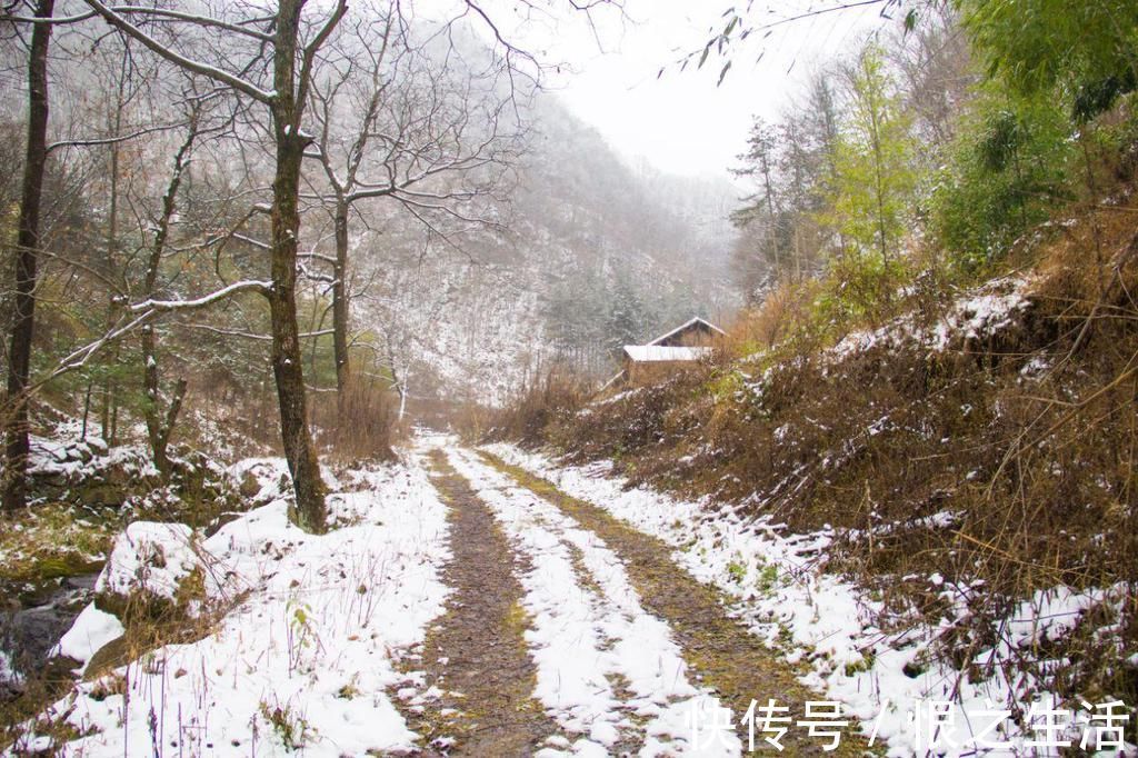 空寂|这户秦岭人家有两个特别之处，猪圈变成了鱼池，门牌竟然钉在窗上