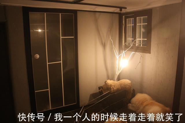 改造|8000块改造半地下室，房东看到吐槽谁让你改的以后咋租给别人
