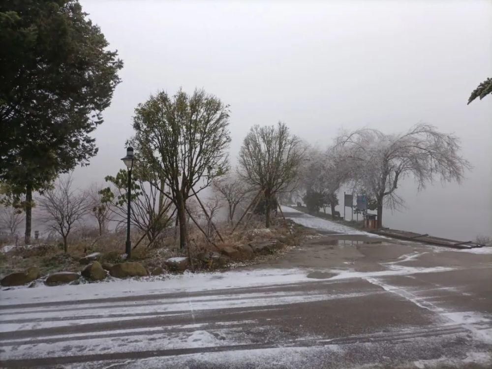 雪景|丽水这些地方下雪了，美炸了~最新雪景美图，请签收