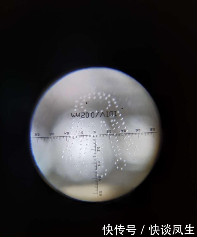 表壳|劳力士的蚝式表壳不是虚的,戴着银游艇照样可以游泳