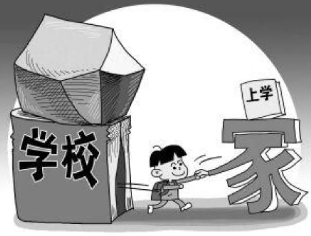 白岩松：大学快成义务教育了，还把自己当成高高在上的精英？