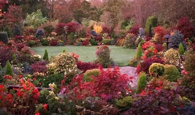  绝美|7旬夫妻用27年建绝美花园，全球花友慕名来“探花”