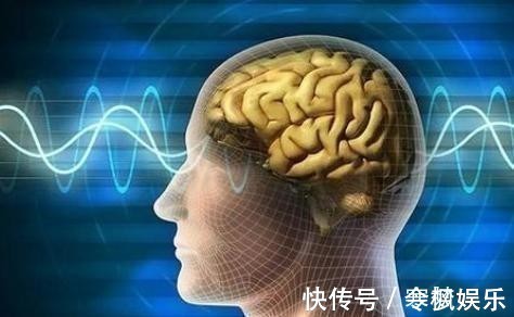 阅读|哈佛研究孩子大脑发育最佳方法并非阅读,这点被家长忽略了