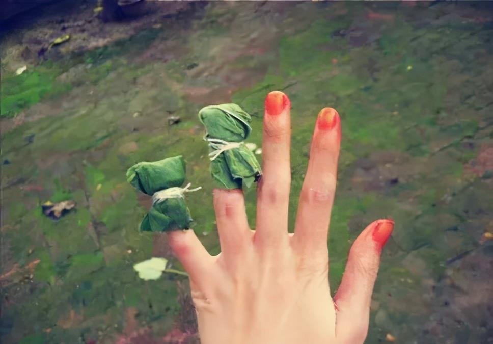 播种|7种“速生花”,现在丢土里,30天就长大,花香扑鼻真泼辣