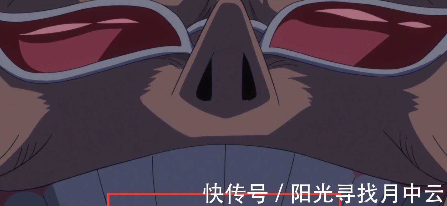 多弗朗明哥|海贼王五老星派人去杀明哥,为何说其中必有CP9的布鲁诺