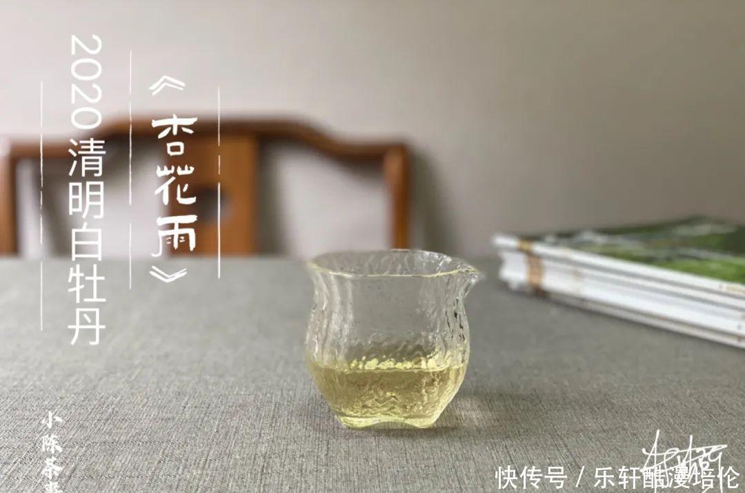 牡丹王|新的一年，白茶中的牡丹王和一级白牡丹，竟然转化得像白毫银针了