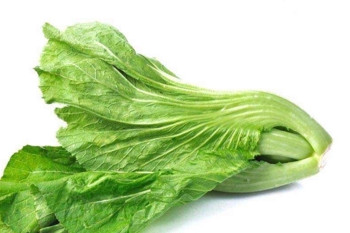 【草丁图书馆】解毒消肿、明目通便的芥菜,菜农种植前需全面了解的几个重要事项