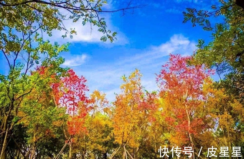 西湖@苏轼八首经典的山水风景诗词,意境优美,比喻奇特,理趣横生