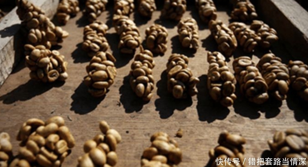 开了花|小伙海边捡了一公斤“屎”,可专家的话,使他乐开了花