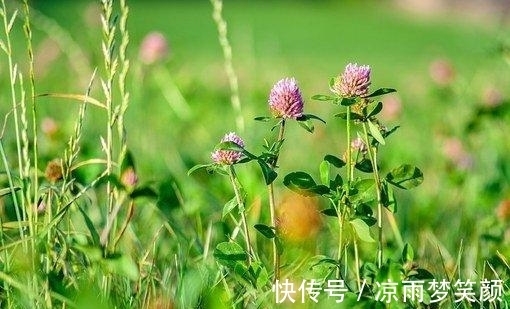 双子座|2天后，旧爱回归，心泛涟漪，不容拒绝，缔结良缘，前途似锦