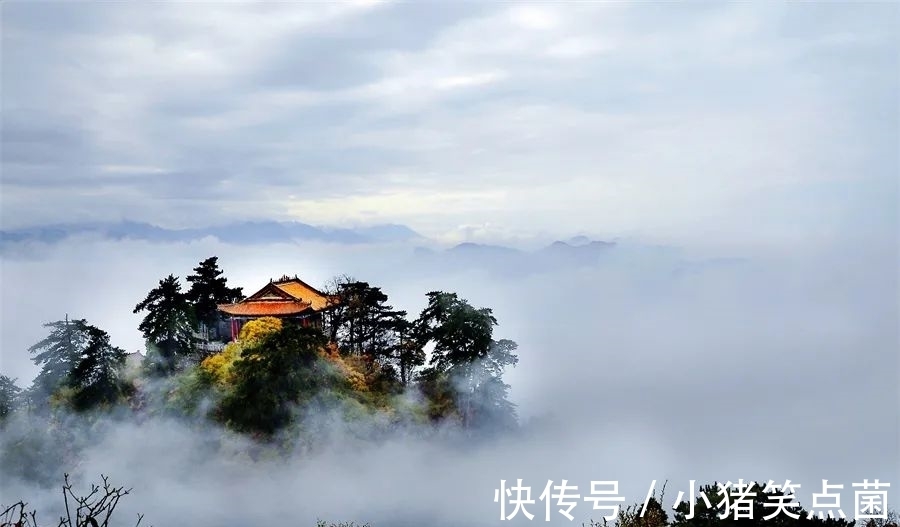 苏东坡$诗词曲中的那些茶之“最”,哪一句你最中意?