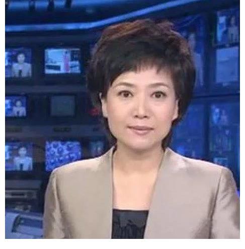 央視節(jié)目主持人：賀紅梅