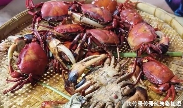大娘挑担卖“它”,8元一只没人买,我300全包了,掰开后很惊喜