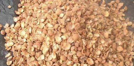 花根|盆栽植物该如何预防积水烂根用上''防堵塞'',花根越长越旺盛