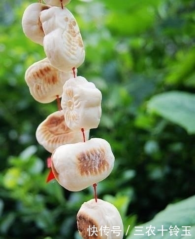 农村人重视节气,有哪些民俗与美食是与中国节气相关联的?