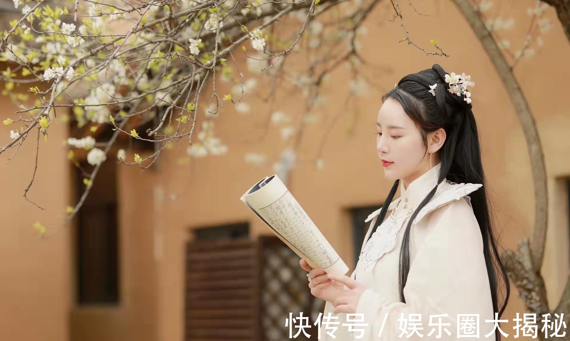 两地人@七言绝句:冬来昼短辞长夜,却见金梅竞艳开