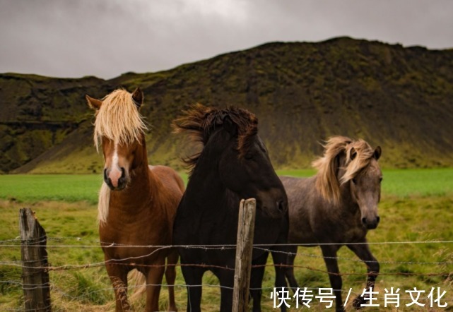 贵人|1月6号开始，好运开启，贵人现身，事业蒸腾，笑合不拢嘴的生肖