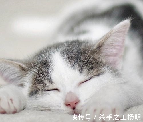 实验|26个「你其实还不够了解自己大脑」的心理学惊奇知识