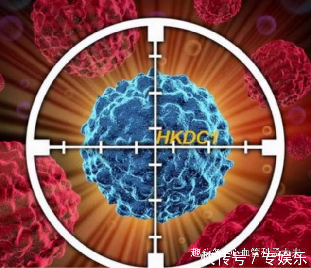 药物|亲人癌症晚期,是砸钱吃靶向药延长生命,还是放弃治疗