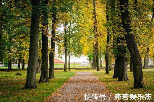 事业|阴历哪几天出生的孩子,智商高,一个比一个有前途,事业大成