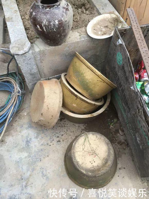 几十个高价花盆,被扔在垃圾桶旁,捡还是不捡?