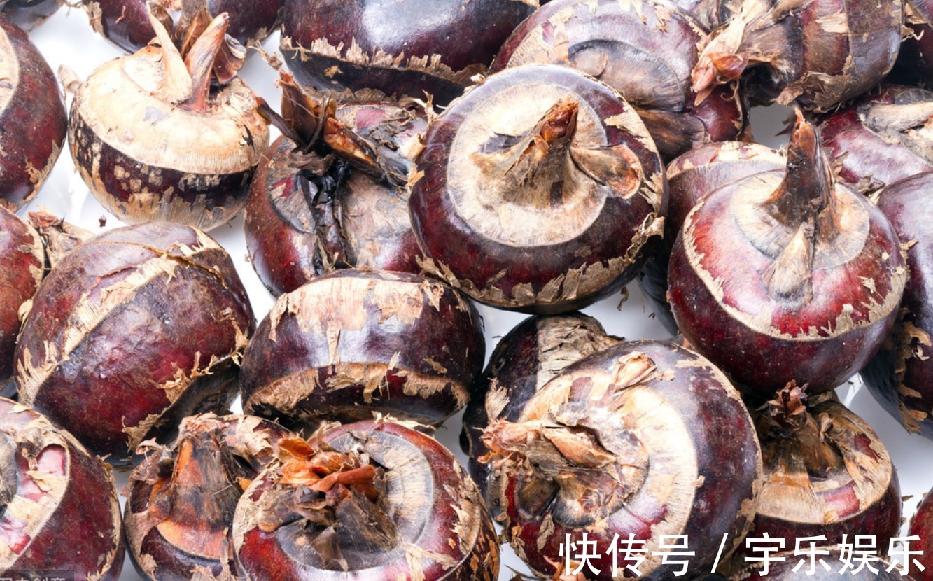 南方人参|一种厨房常见食材又被叫做“南方人参”,中医常吃有4大功效