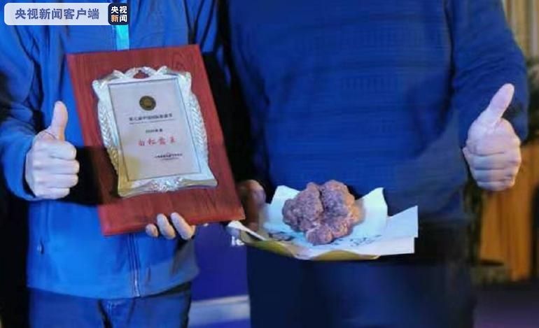 白松露|极品!638克巨型白松露惊艳亮相国际松露节