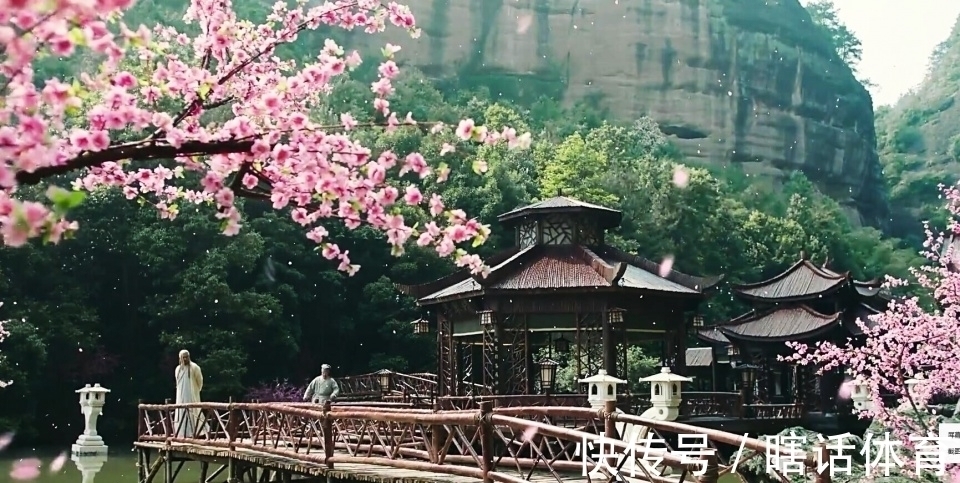 何来历&侠客岛是以前的桃花岛侠客岛武功是黄药师留下的3细节说明一切