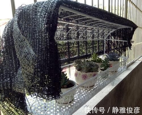 死翘翘|露养多肉万般好？做不好这3件事，一样死翘翘
