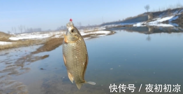 长竿大漂配双铅，冬季钓鲫鱼，既好抛，灵敏度也高